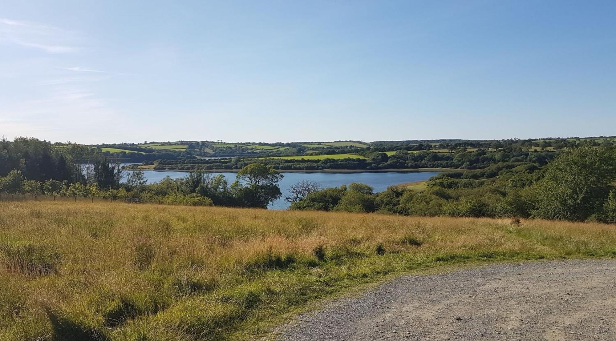Willa Couples Retreat In Beautiful West Devon Countryside Broadwoodwidger Zewnętrze zdjęcie