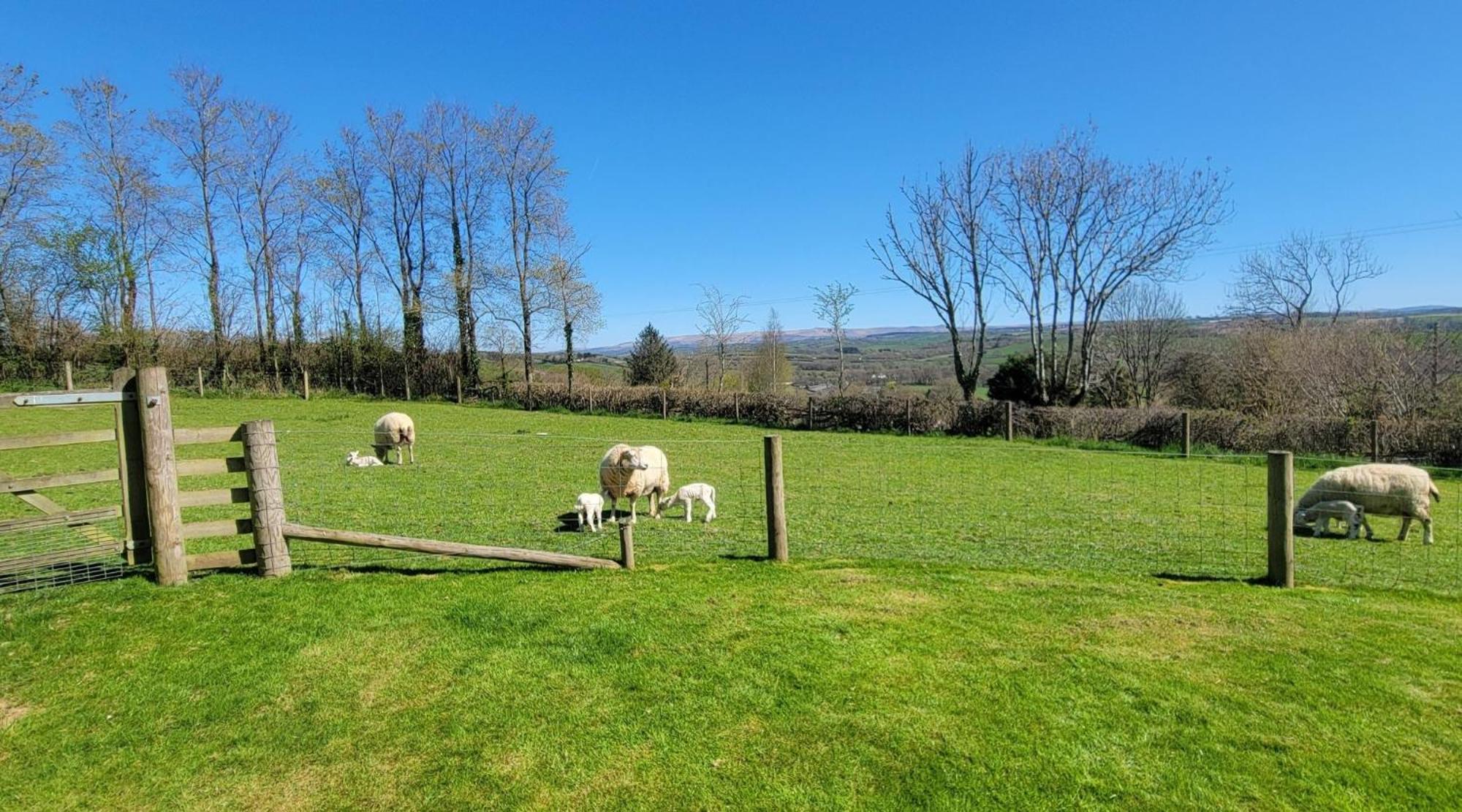 Willa Couples Retreat In Beautiful West Devon Countryside Broadwoodwidger Zewnętrze zdjęcie